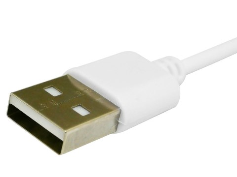 Kabel ładujący do Smartwatcha GIEWONT GW510 GWK2 Kabel ładujący do Smartwatcha GIEWONT GW510 GWK2
