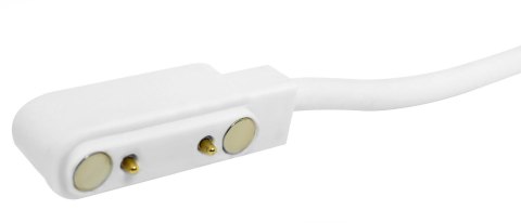 Kabel ładujący do Smartwatcha GIEWONT GW510 GWK2 Kabel ładujący do Smartwatcha GIEWONT GW510 GWK2