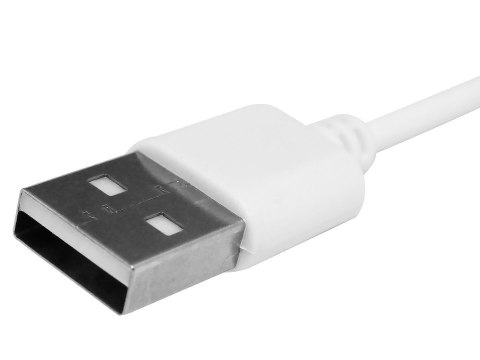 Kabel ładujący do Smartwatcha GIEWONT Dynamic GW230 GW300 GWK6 Kabel ładujący do Smartwatcha GIEWONT Dynamic GW230 GW300 GWK6