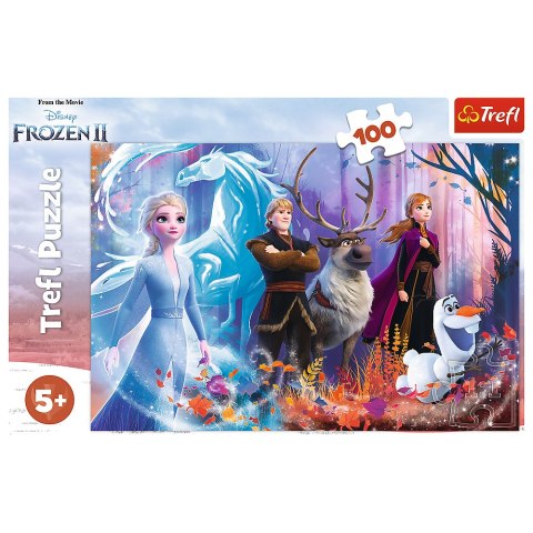 Puzzle - "100" - Magia Krainy Lodu / Disney Frozen 2 16366 Puzzle - "100" - Magia Krainy Lodu / Disney Frozen 2 16366