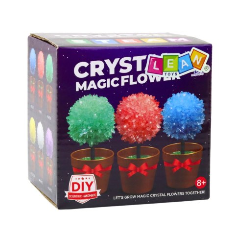 Hodowla Kryształów Magiczne Drzewko Kryształowe Eksperyment Edukacyjny Hodowla Kryształów Magiczne Drzewko Kryształowe Eksperyment Edukacyjny