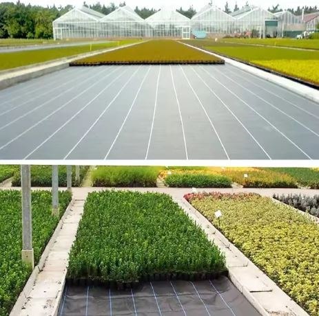 Agrotkanina czarna 1,1x100m UV 135g antychwastowa agrowłóknina + kotwy Agrotkanina czarna 1,1x100m UV 135g antychwastowa agrowłóknina + kotwy