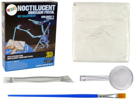 Zestaw Archeologiczny Wykopaliska Dinozaur Szkielet Pteranodon Zestaw Archeologiczny Wykopaliska Dinozaur Szkielet Pteranodon